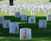 Photo of Arlington Cemetery