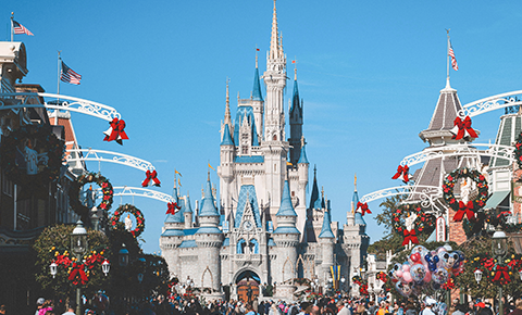 Photo of Magic Kingdom at Disney World